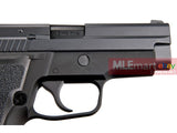 WE Metal F229 GBB Pistol (Black) - MLEmart.com